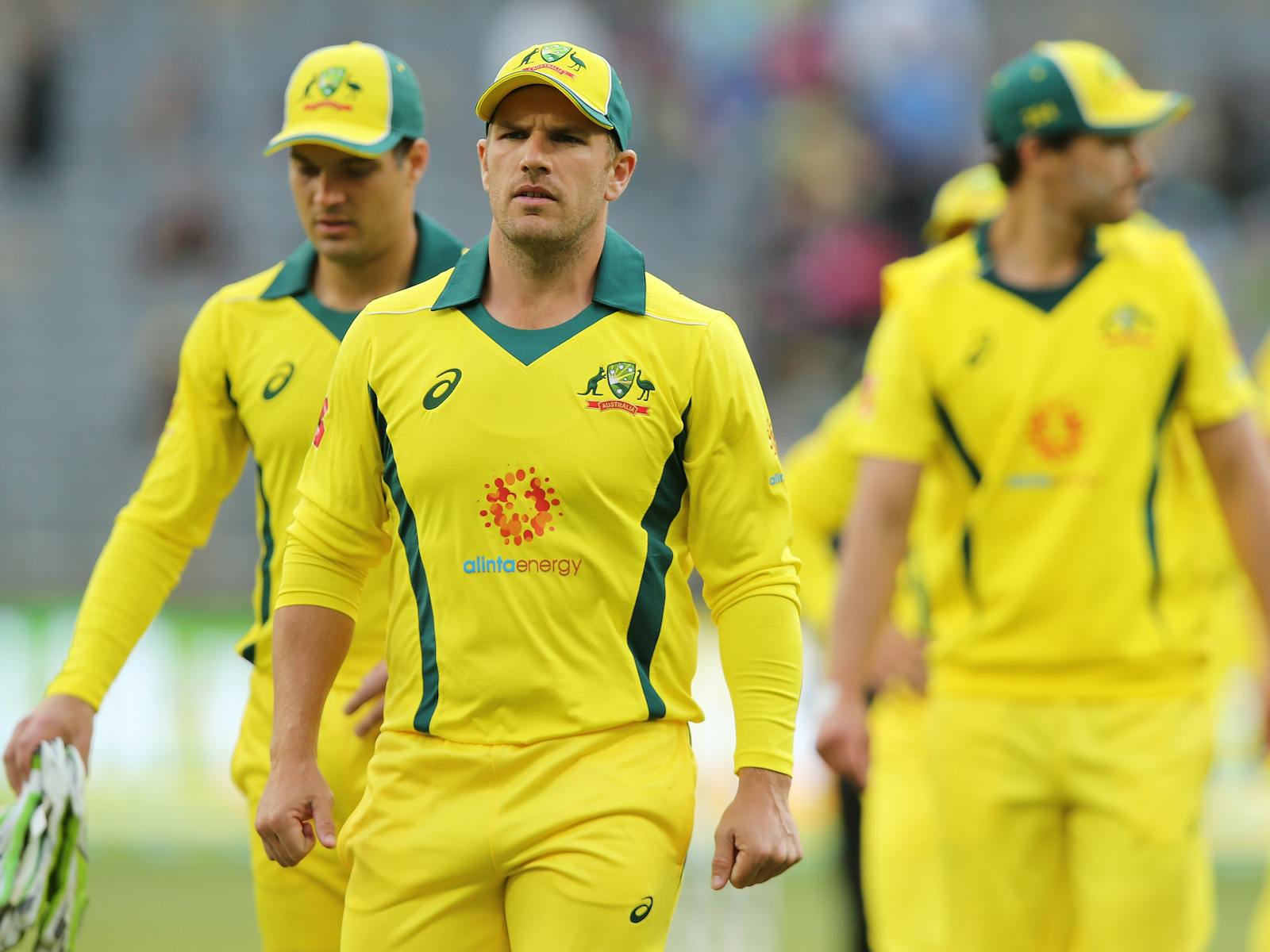 Image for Dettol ODI Series vs New Zealand