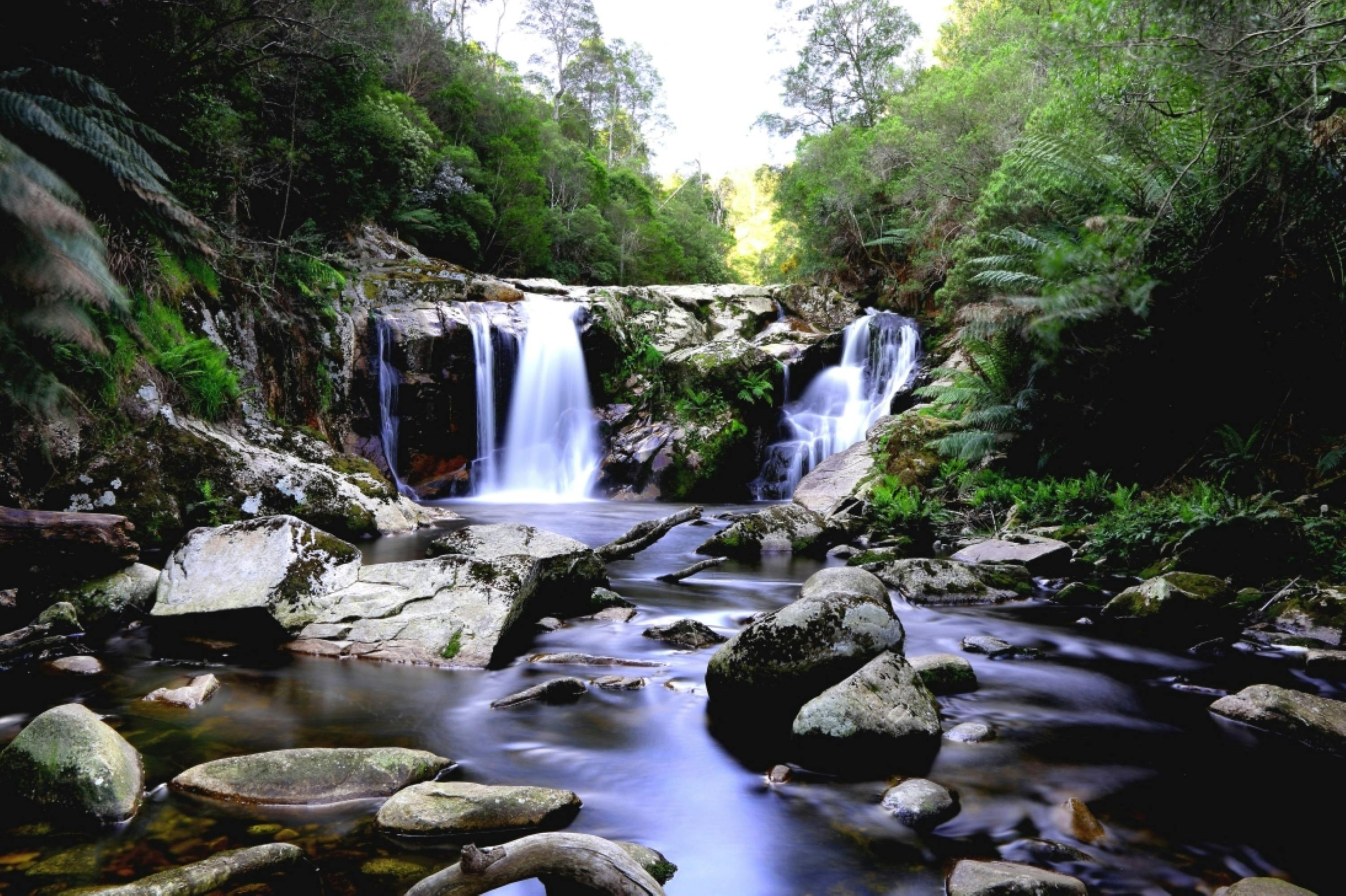 Halls Falls Tasmania