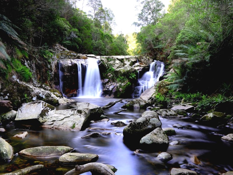Halls Falls Tasmania