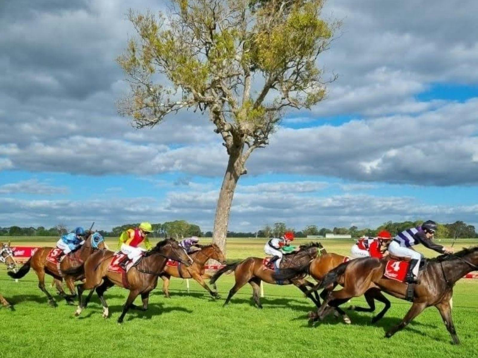 Penola races