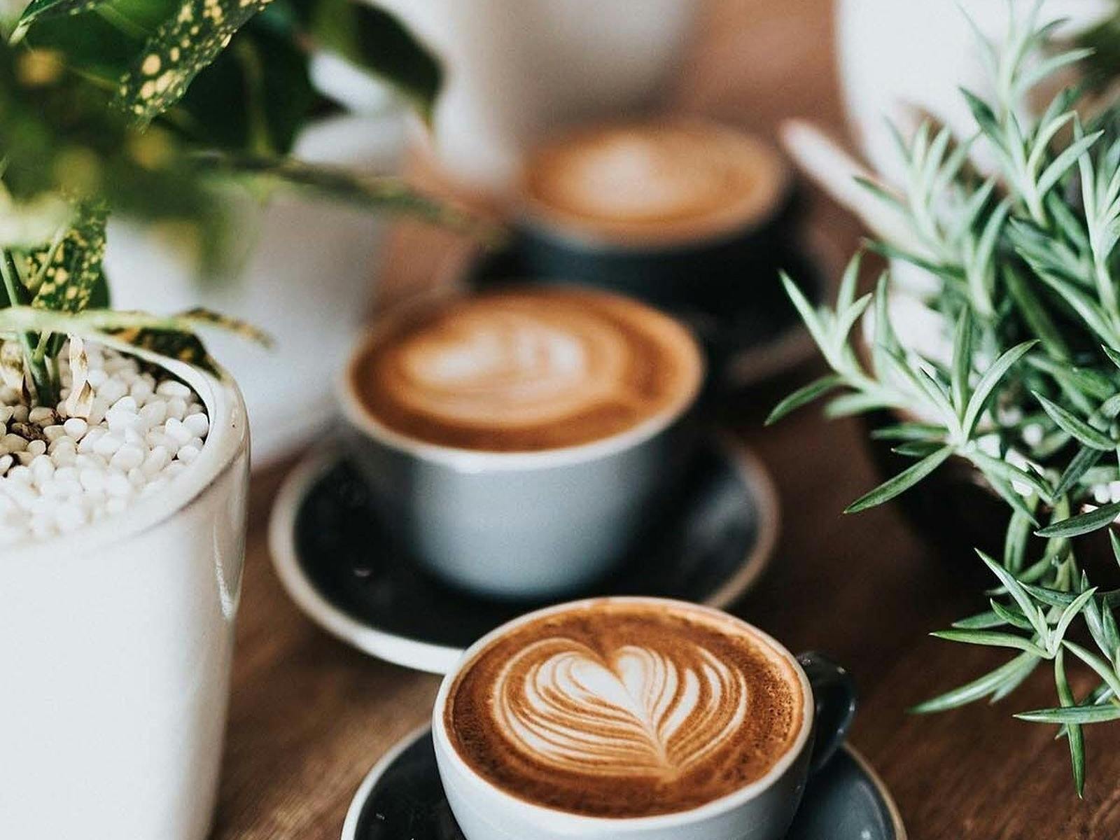 three cups of flat white coffee with heart coffee art