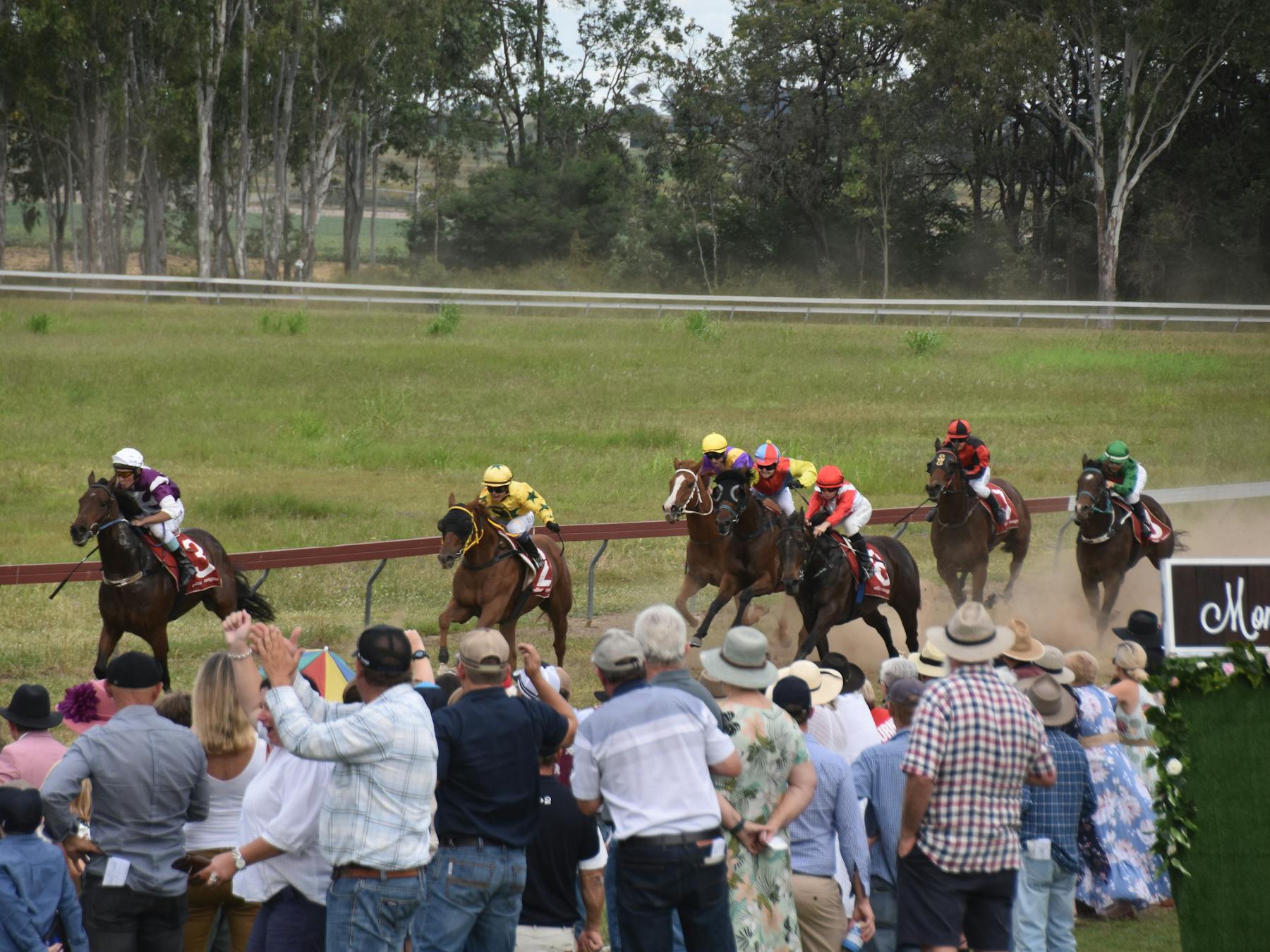 Horses coming down the home straight