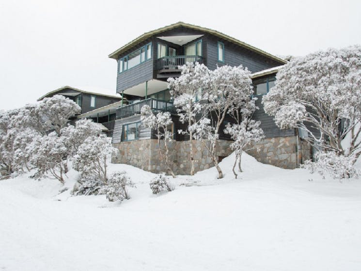 Pygmy Possum Lodge in the Snow