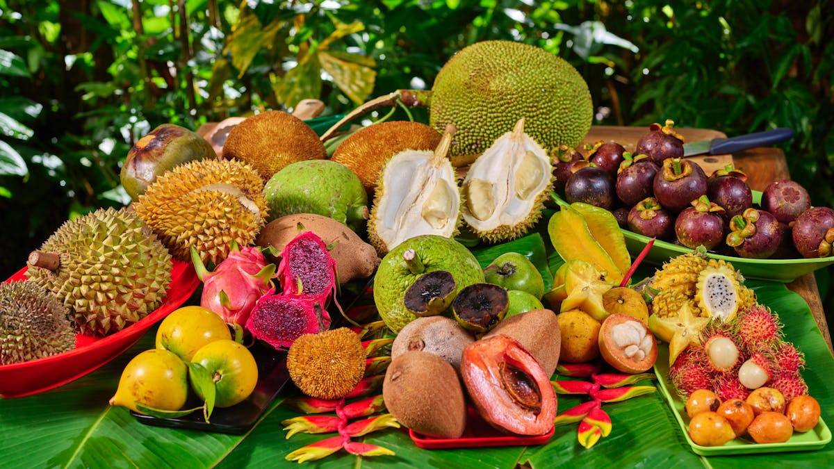 Colourful array of tropical fruit at Cape Trib Farm