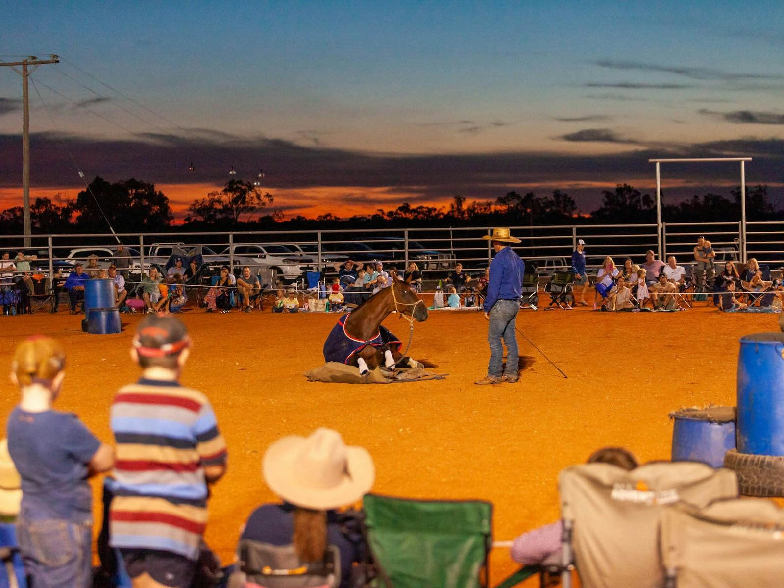 Guests watching Tom Curtain work with a horse during a Katherine Outback Experience show on tour