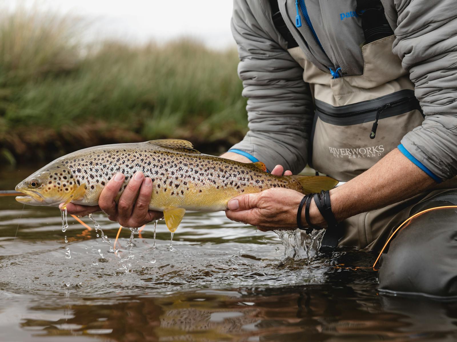 Some of the world's best fly fishing on Tasmania's Central  Highlands is easily accessible.