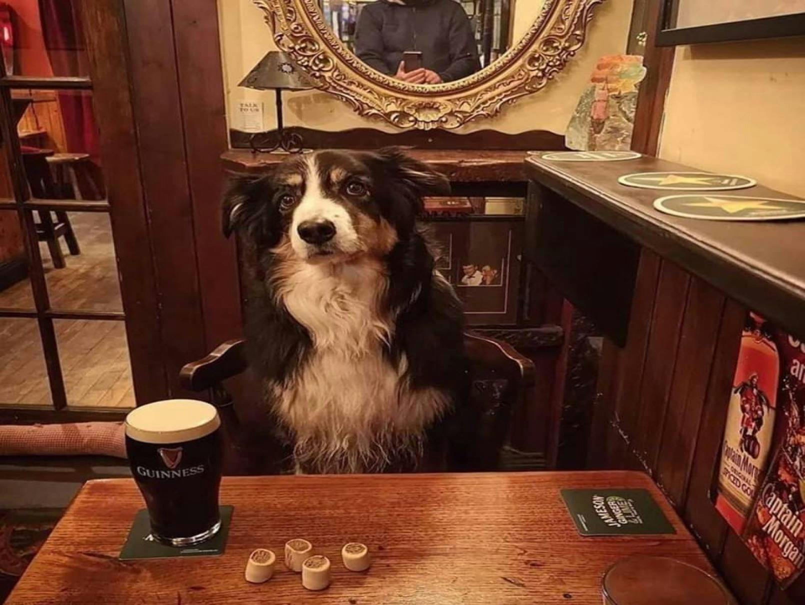 コマーシャルホテル