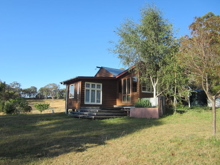 Peach Tree Cabin