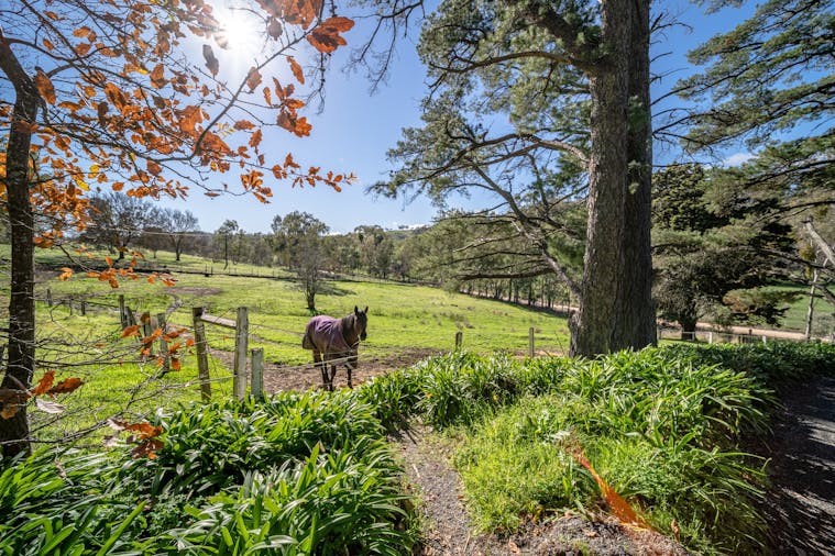 Templewood Horse Riding Centre