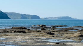 Burwood Trail