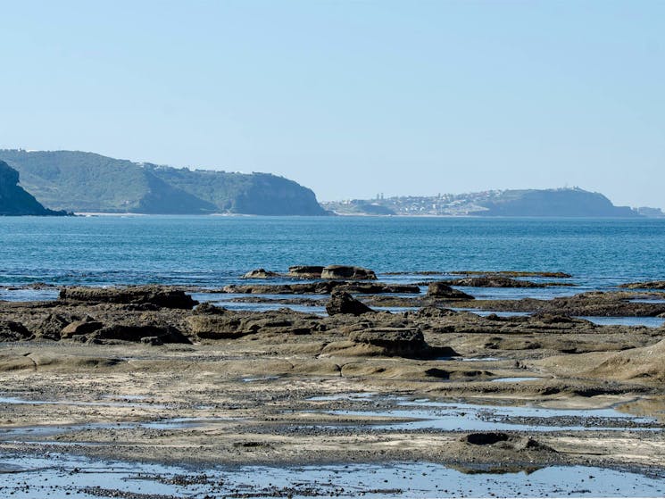 Burwood trail, Glenrock State Conservation Area. Photo: John Spencer