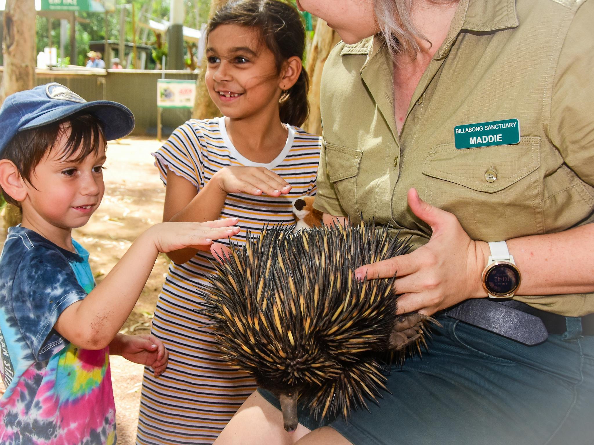 Ranger holds Ouchouch the echidna