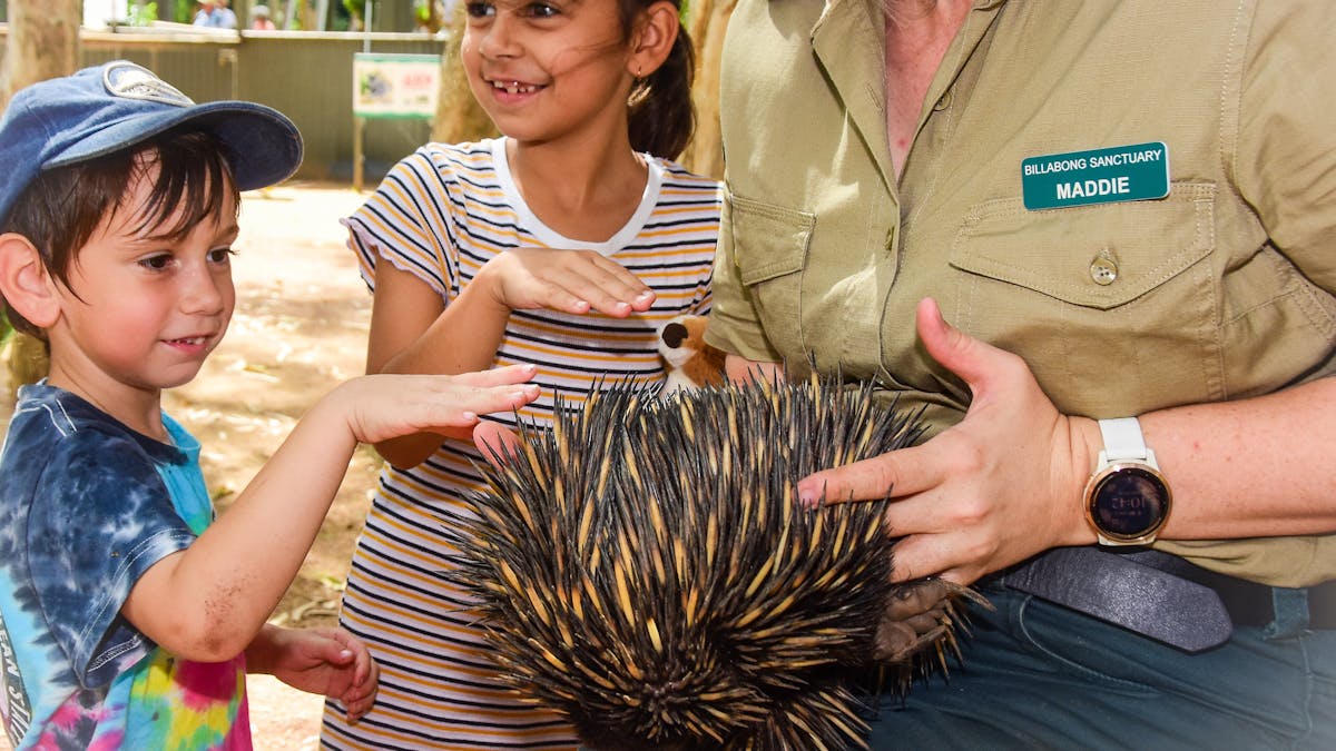 Ranger holds Ouchouch the echidna
