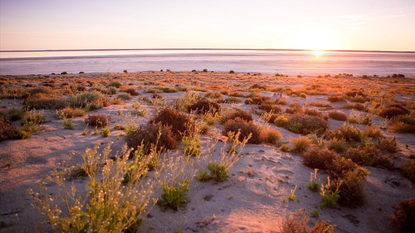 Kati Thanda-Lake Eyre National Park