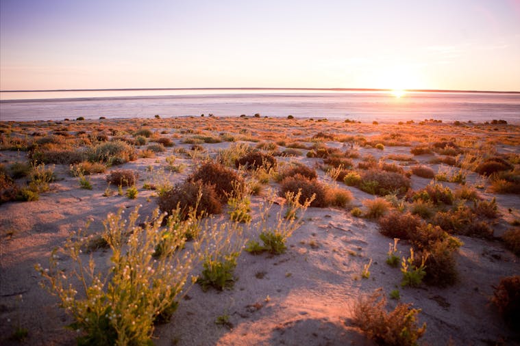 Kati Thanda-Lake Eyre National Park