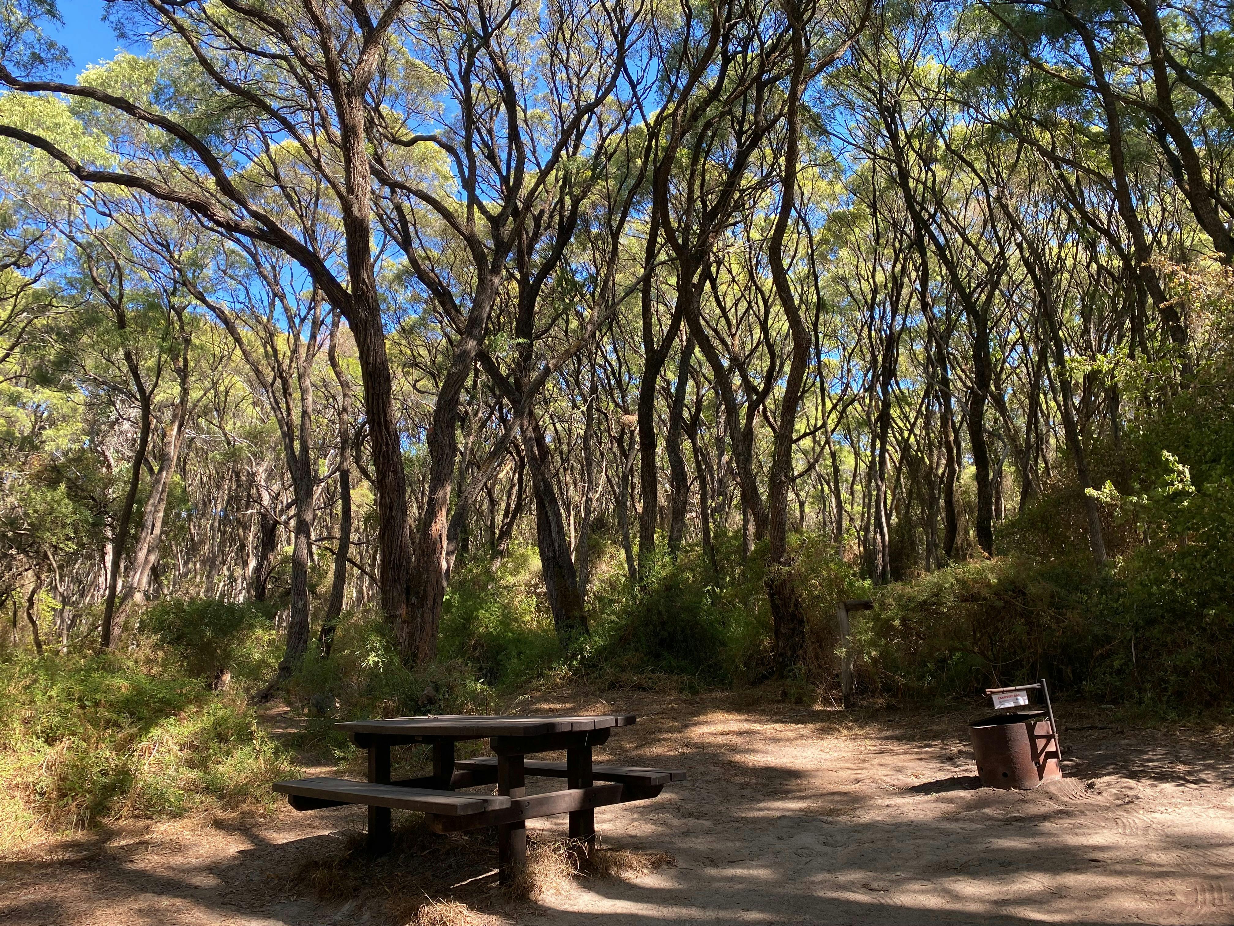 Campsite