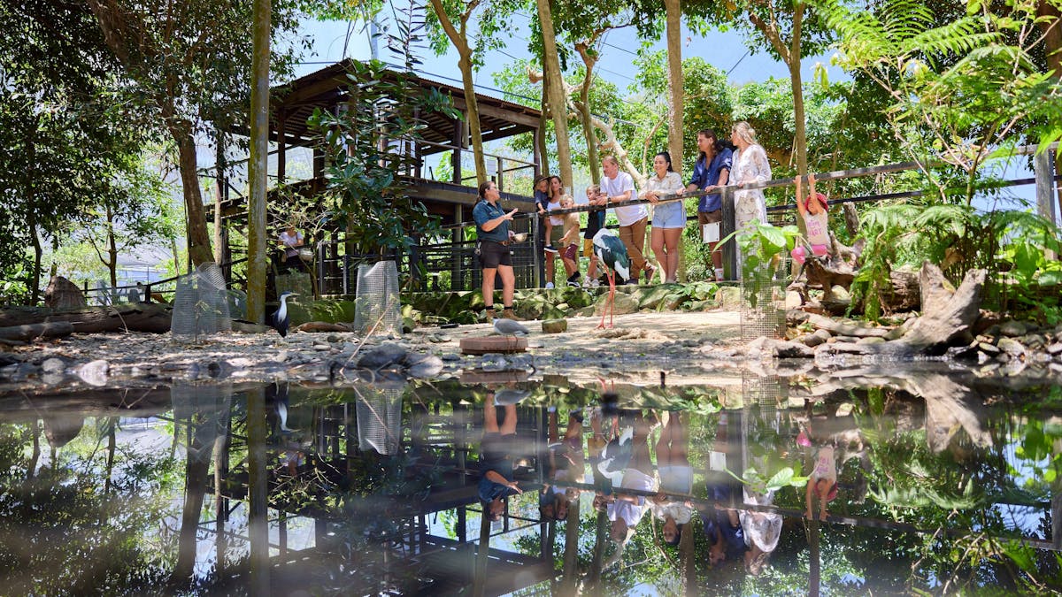 A wide shot of the Wetland Habitat landscape during the Stork Keeper Talk, with a group of visitors