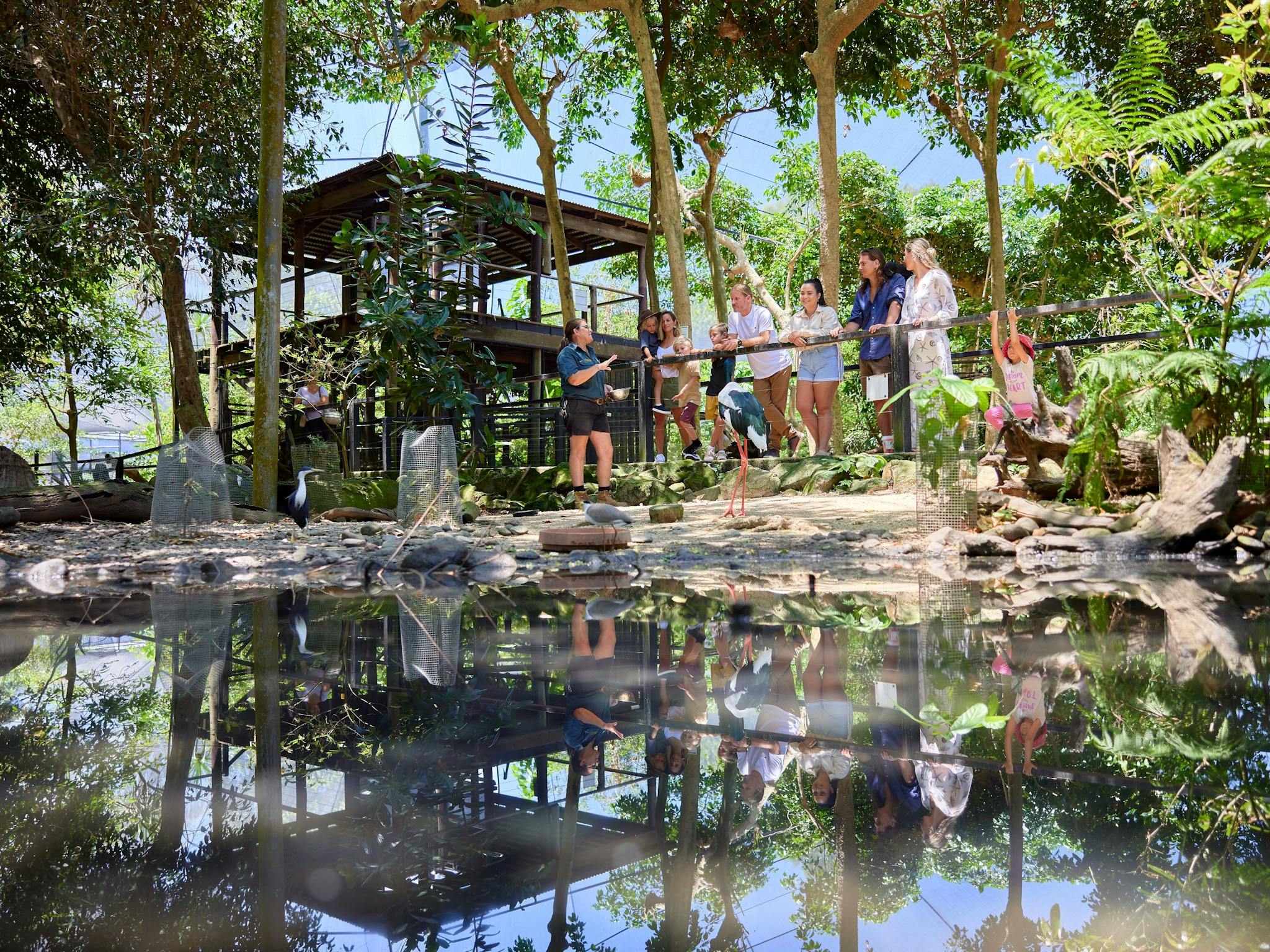 A wide shot of the Wetland Habitat landscape during the Stork Keeper Talk, with a group of visitors