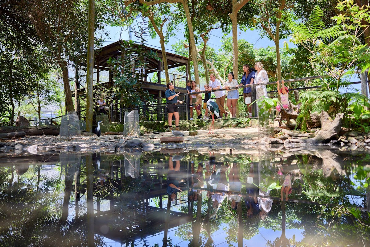 A wide shot of the Wetland Habitat landscape during the Stork Keeper Talk, with a group of visitors