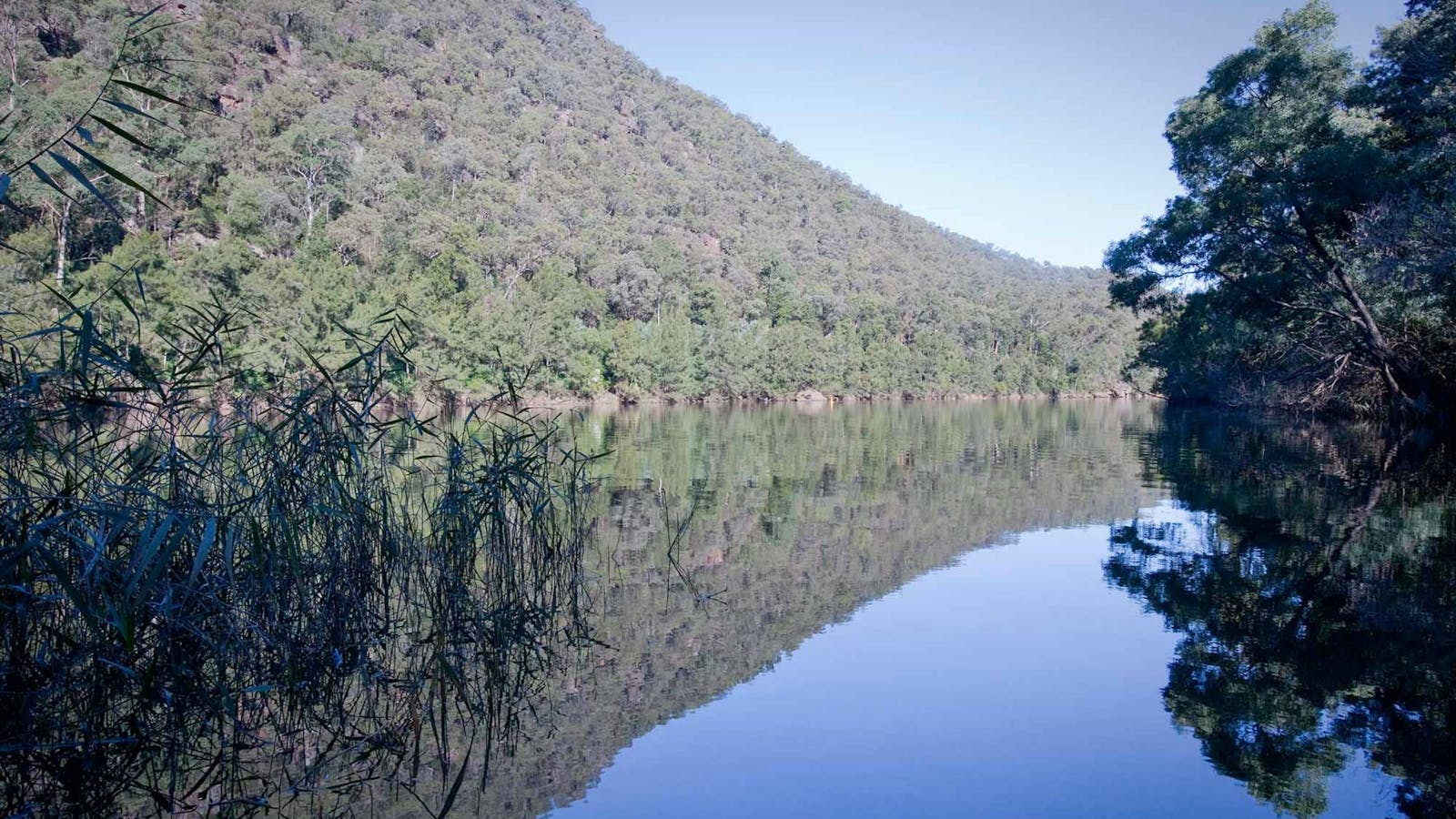 Euroka - Nepean River Walking Track