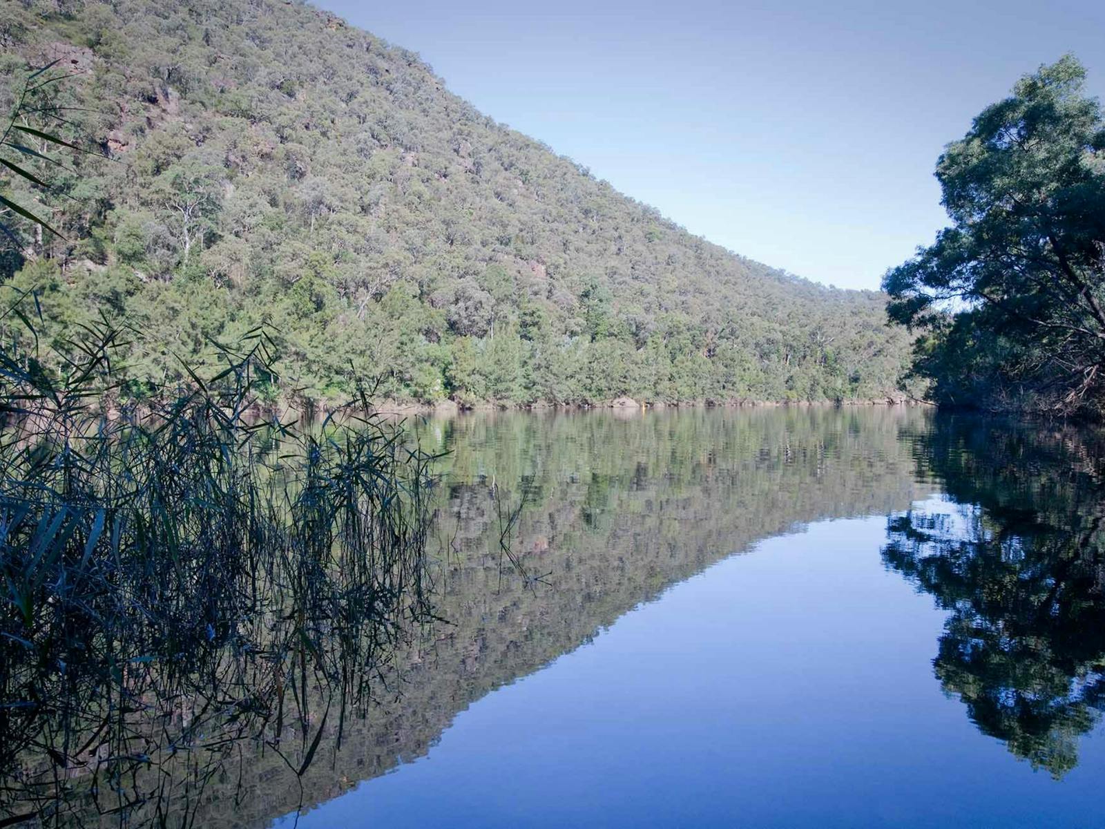 Euroka - Nepean River Wanderung, Blue Mountains National Park. Foto: Nick Cubbin