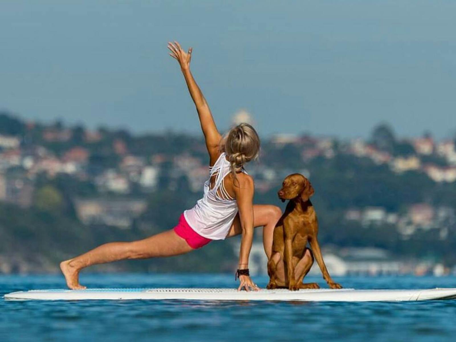 SUP Yoga Sydney, Manly
