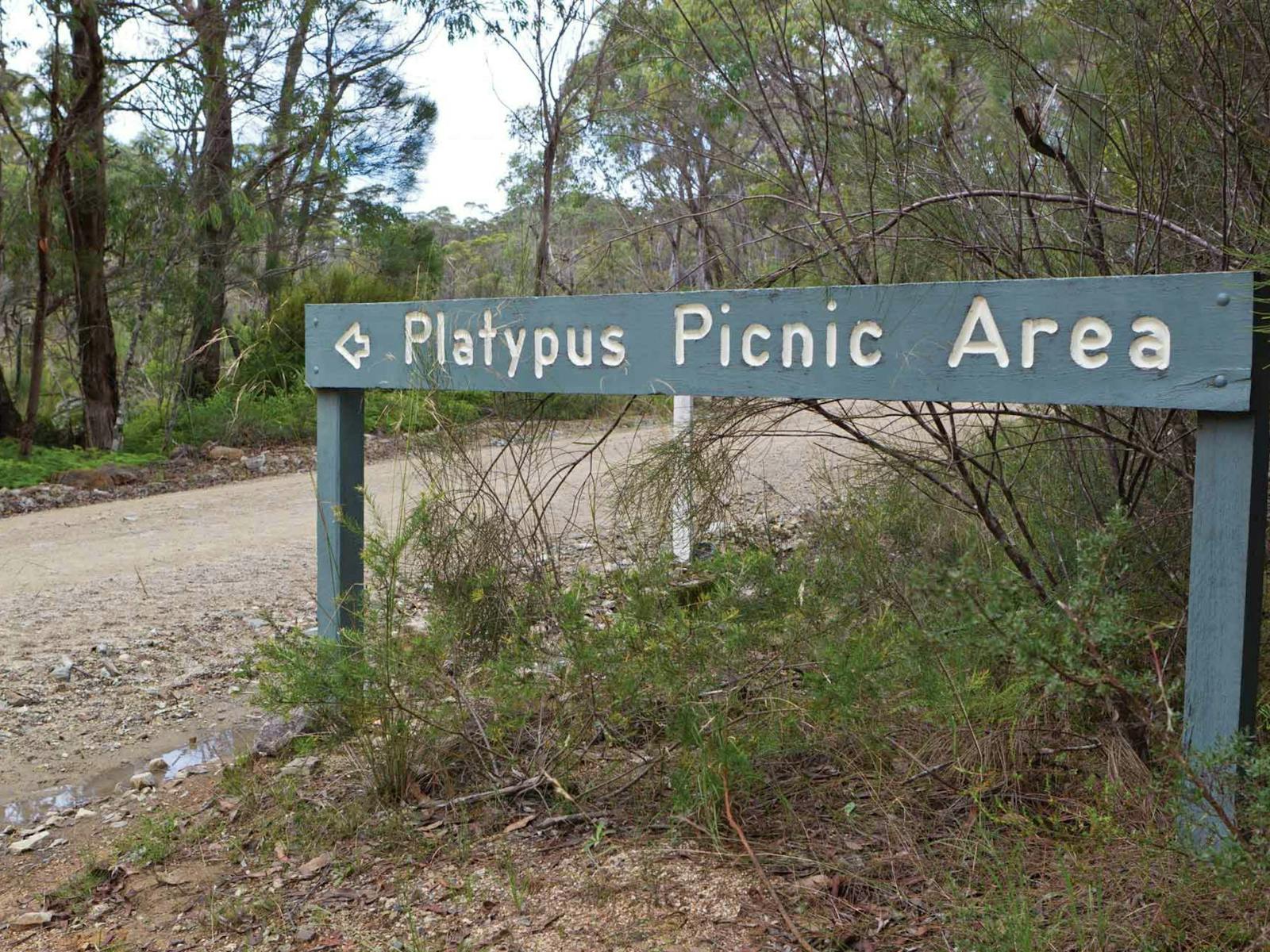Platypus Picknickplatz, Gibraltar Range National Park. Foto: Rob Cleary
