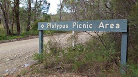 Platypus picnic area, Gibraltar Range National Park. Photo: Rob Cleary