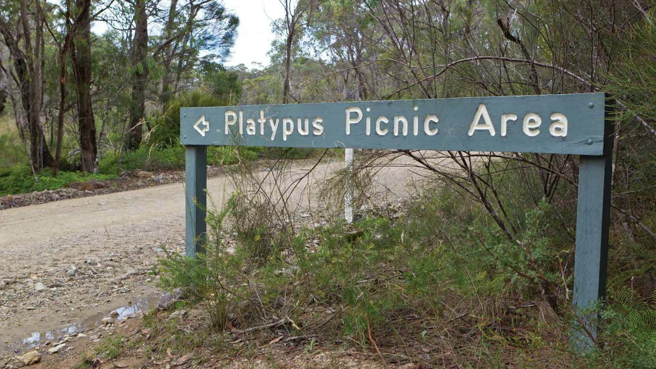 Platypus Picnic Area