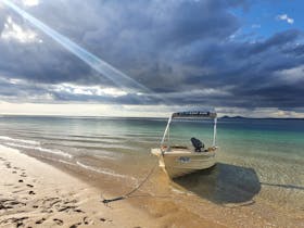 Fishseeker at Farm Beach