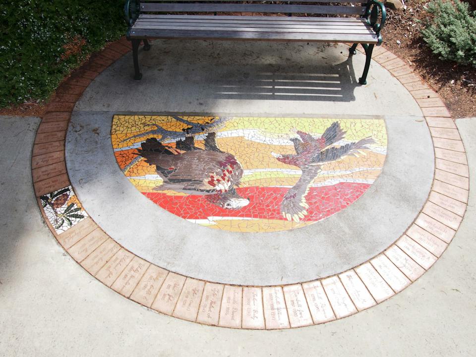Mosaic Pathway (WASS) photo