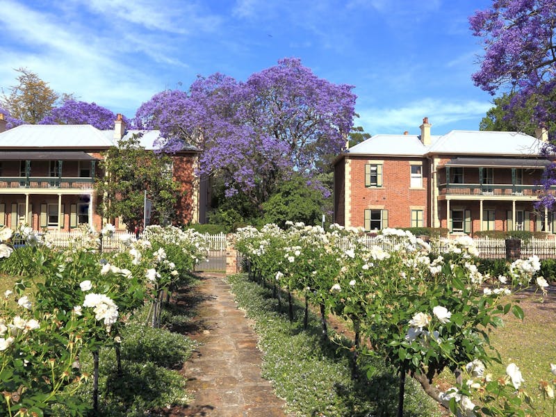 Image for Maitland Heritage Fest