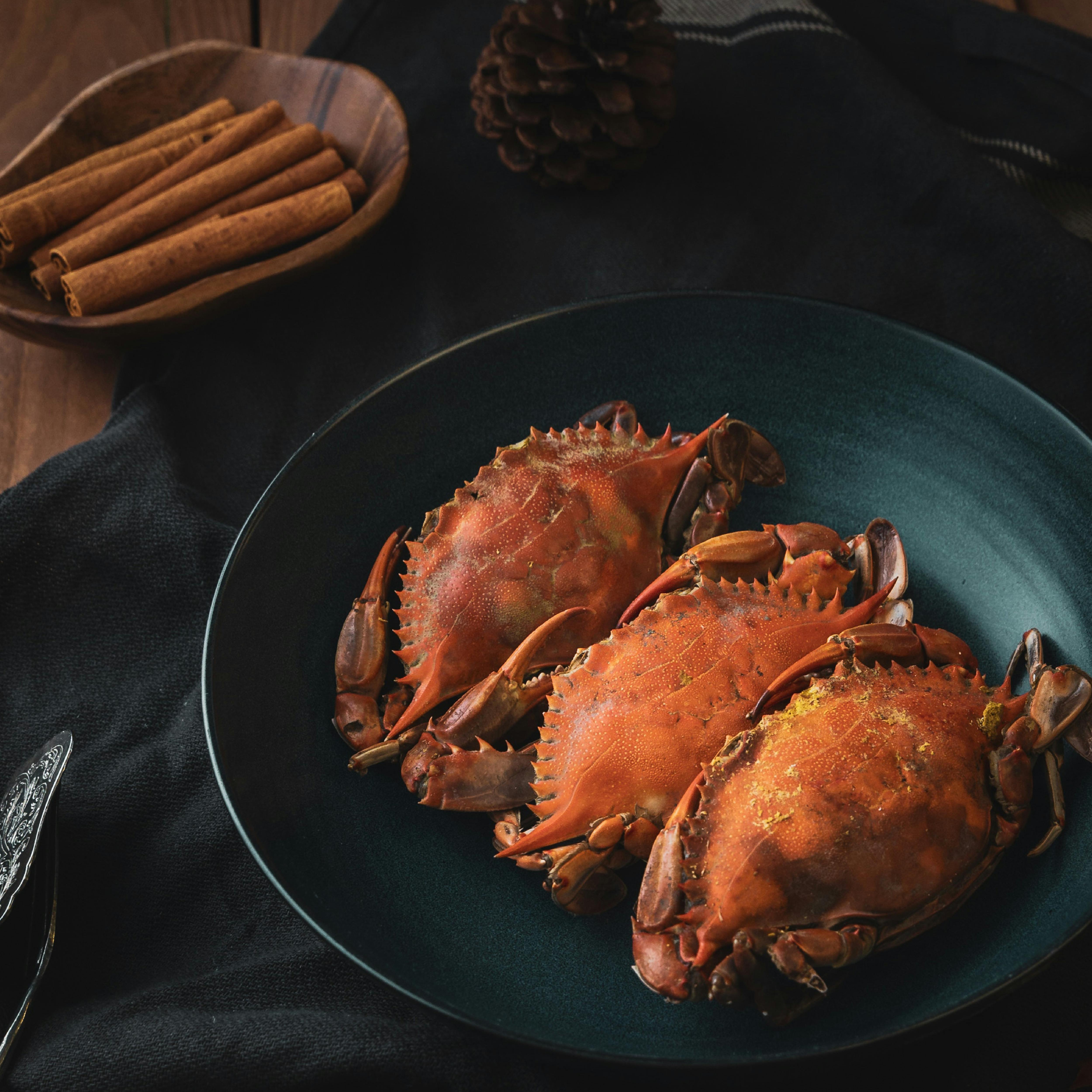 Mudcrab on the menu of Australian Sportfishing Charters