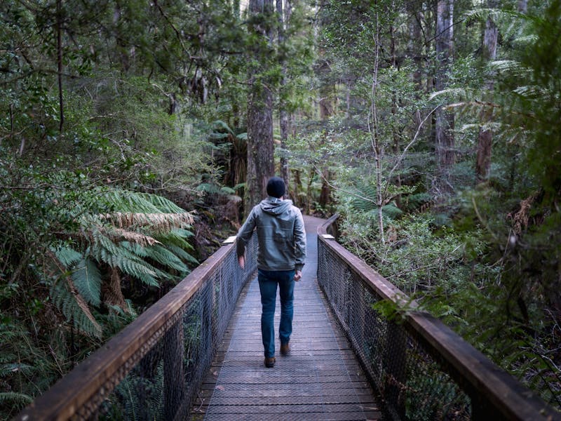 Hastings Caves and Thermal Springs