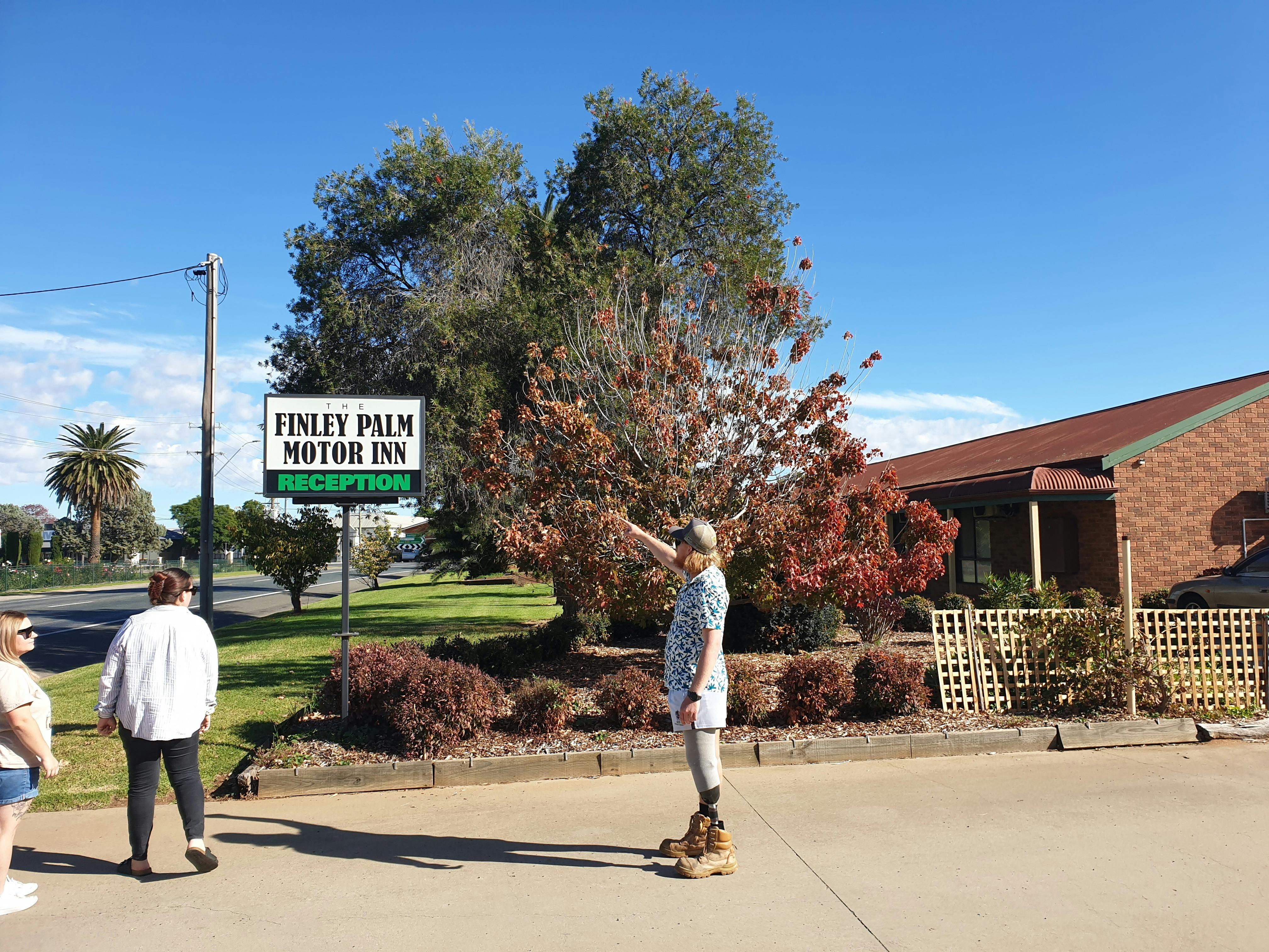 핀리 팜 모터 인