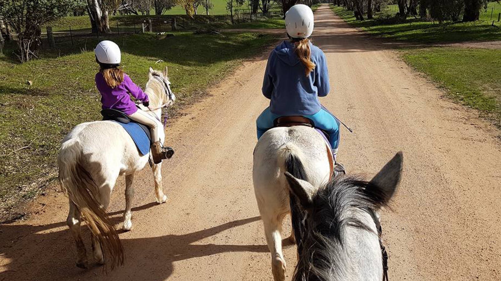 Bits and Boots Pony Rides