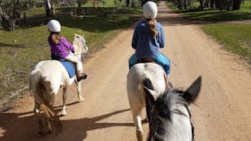 Bits and Boots Pony Rides