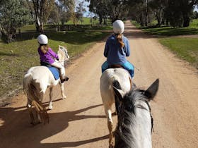 Bits and Boots Pony Rides