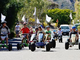 pedal go karts for hire - hours of fun for the kids