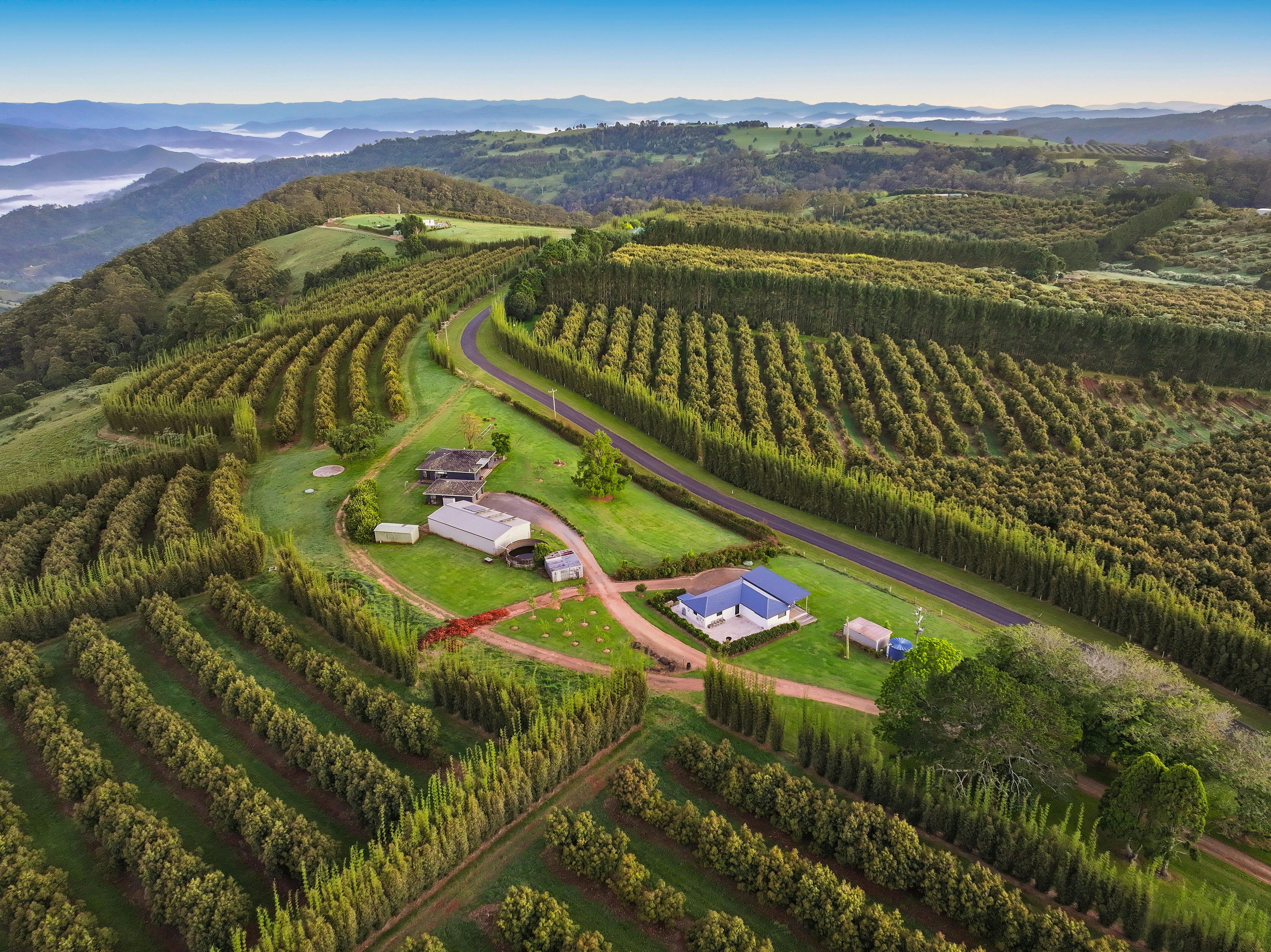 farm stay, avocados, relax, book farm, accommodation home