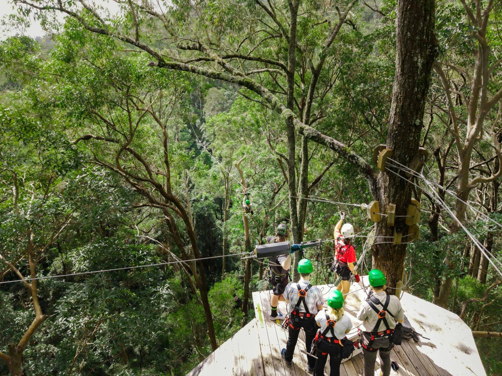 Breathtaking views as you fly through the treetops in this immersive outdoor experience
