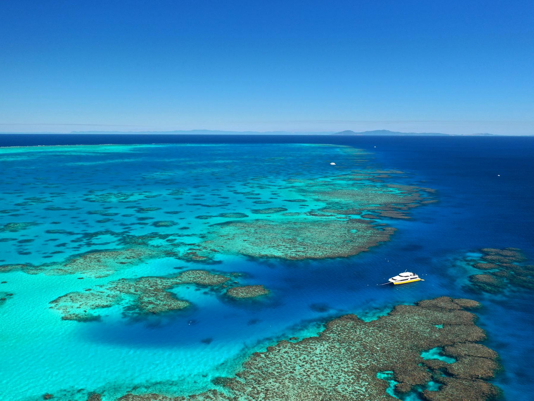 Coral Greenhouse / MOUA / Museum of Underwater Art