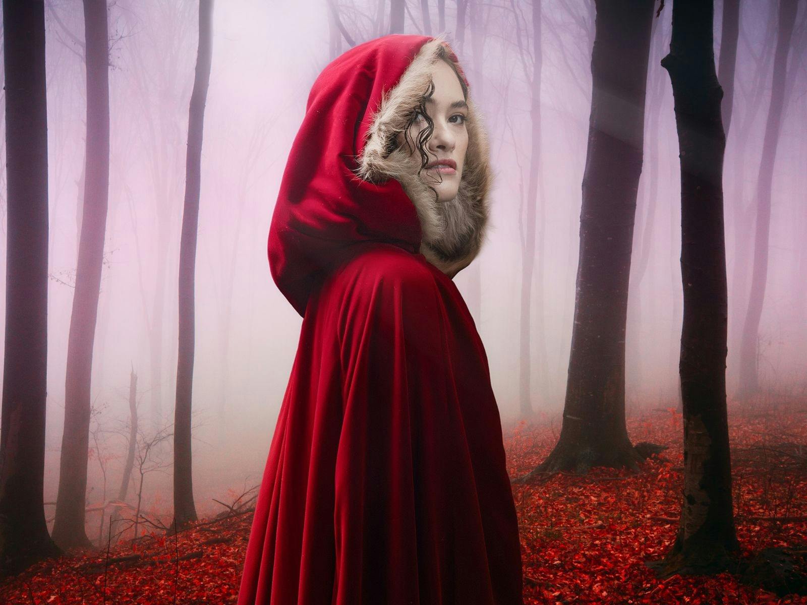 Into The Woods Into The Woods