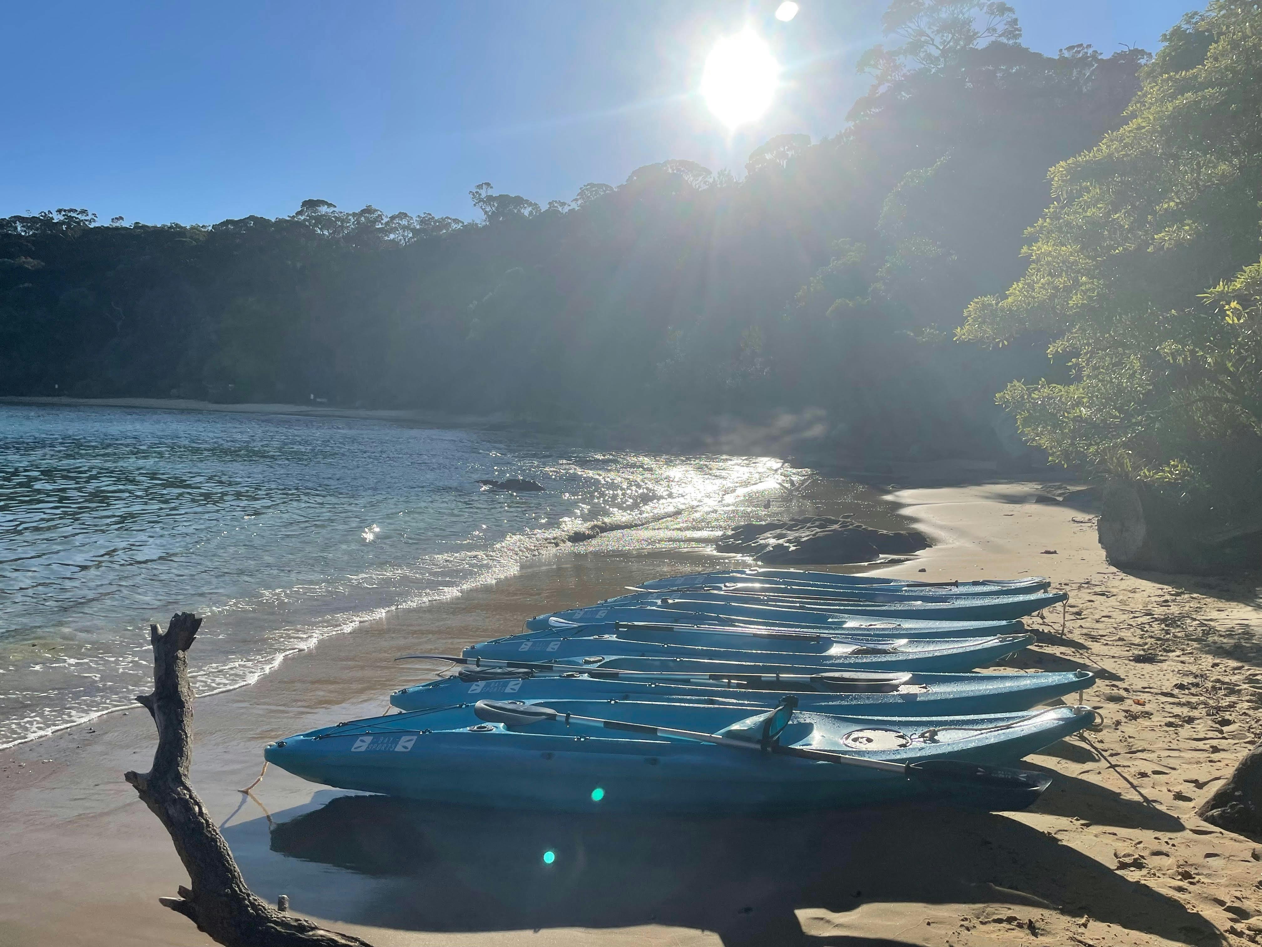 Manly Sailing Kayak and SUP rentals Sydney, Australia Official