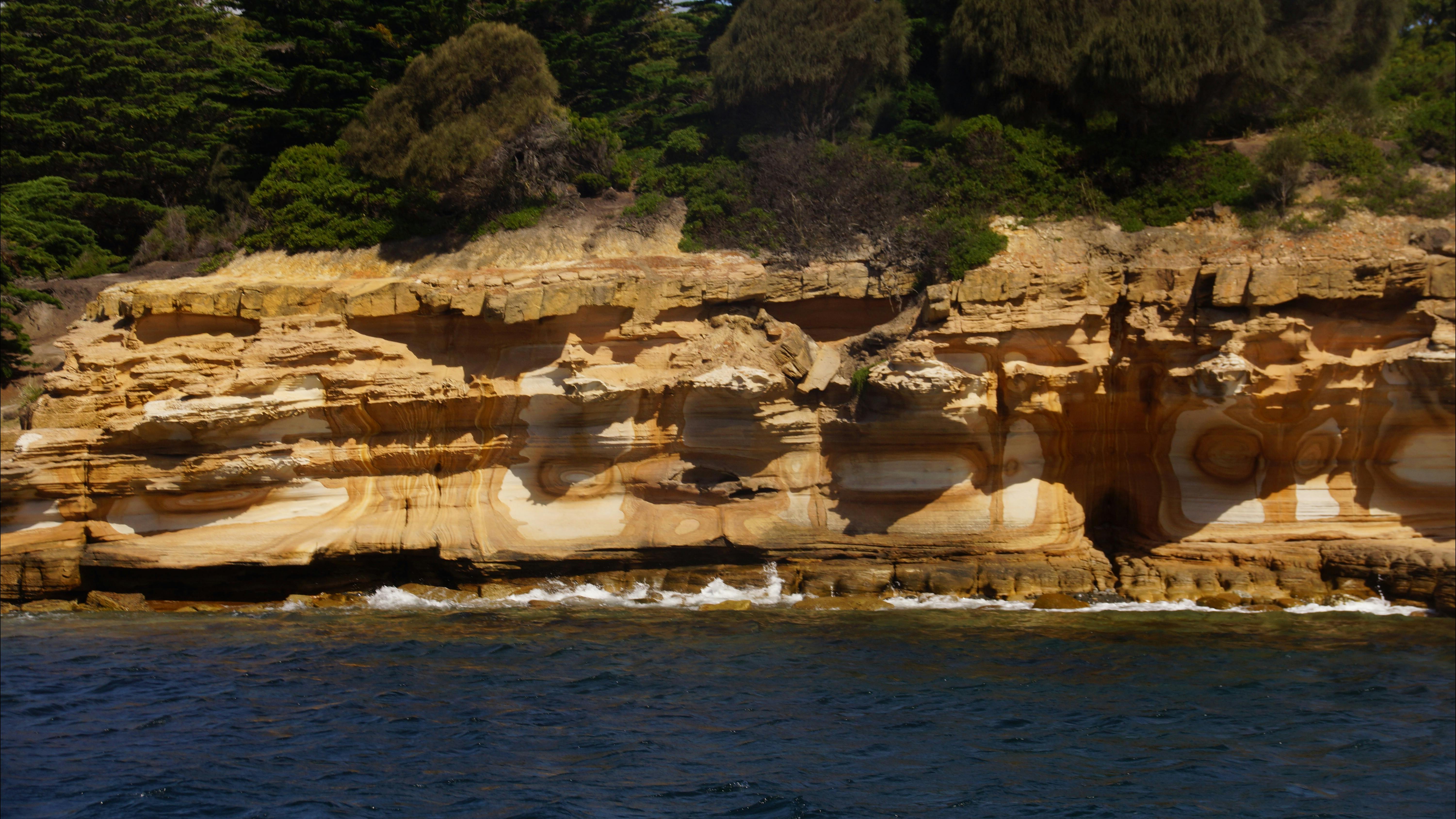 Tasmania Day tours, See Tasmania, hobart hiking tours, walking tours tasmania, maria island tours