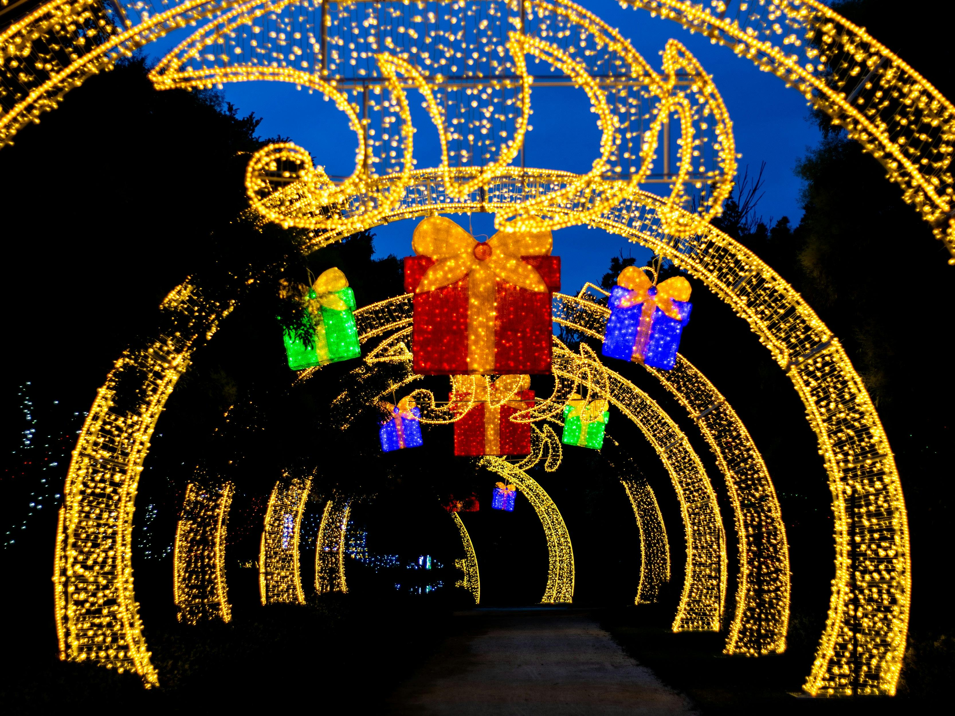 Christmas Lights Spectacular at Hunter Valley Gardens