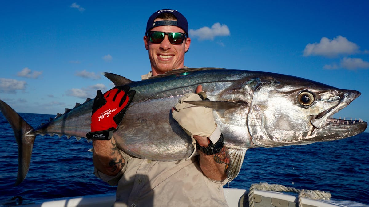 Awesome Tuna