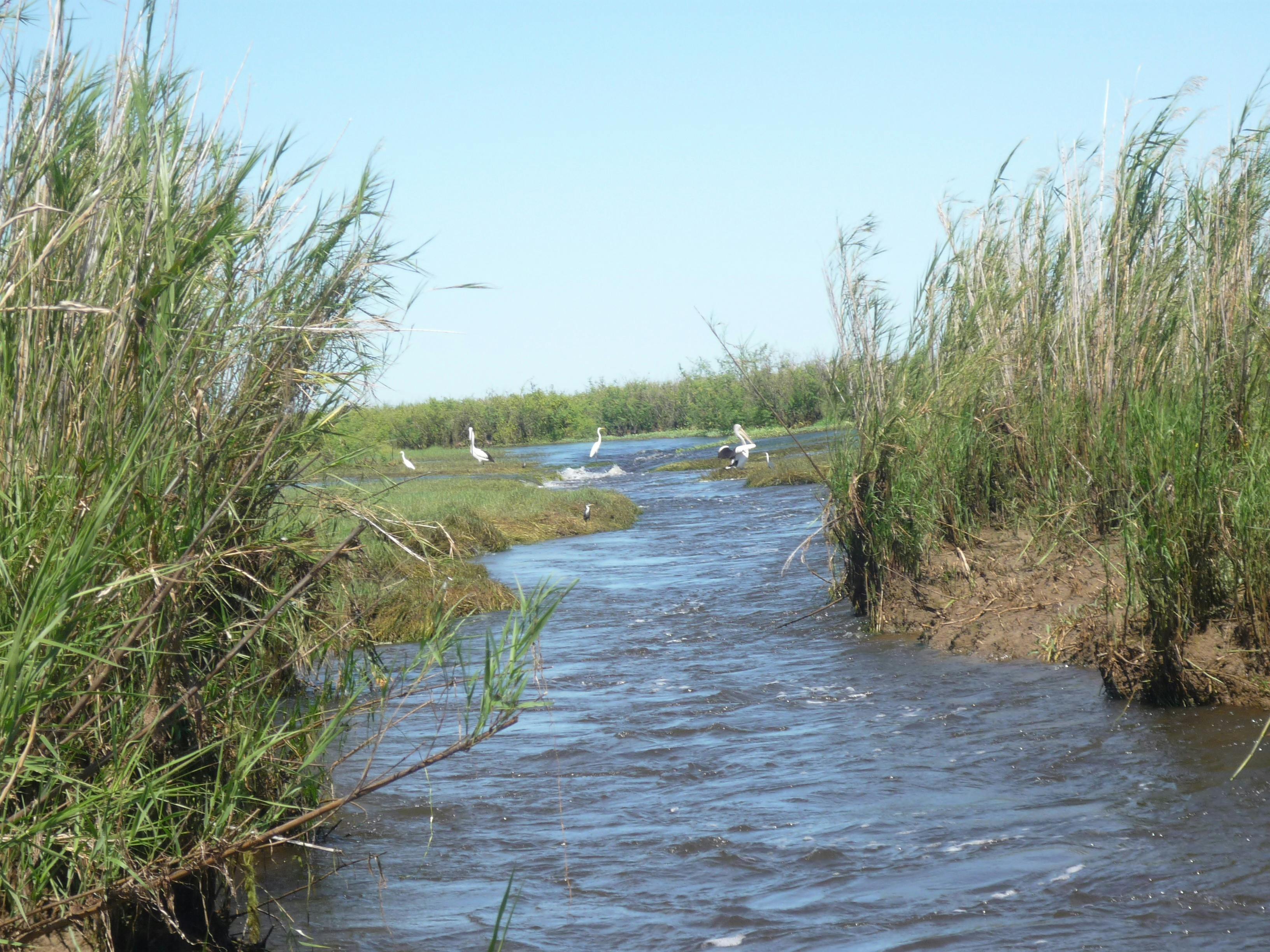 Clear creek - Run off