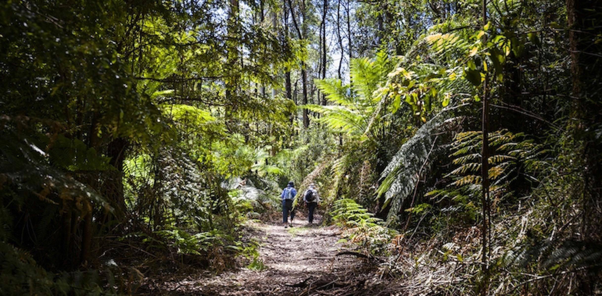 Ada No.2 Mill to High Lead