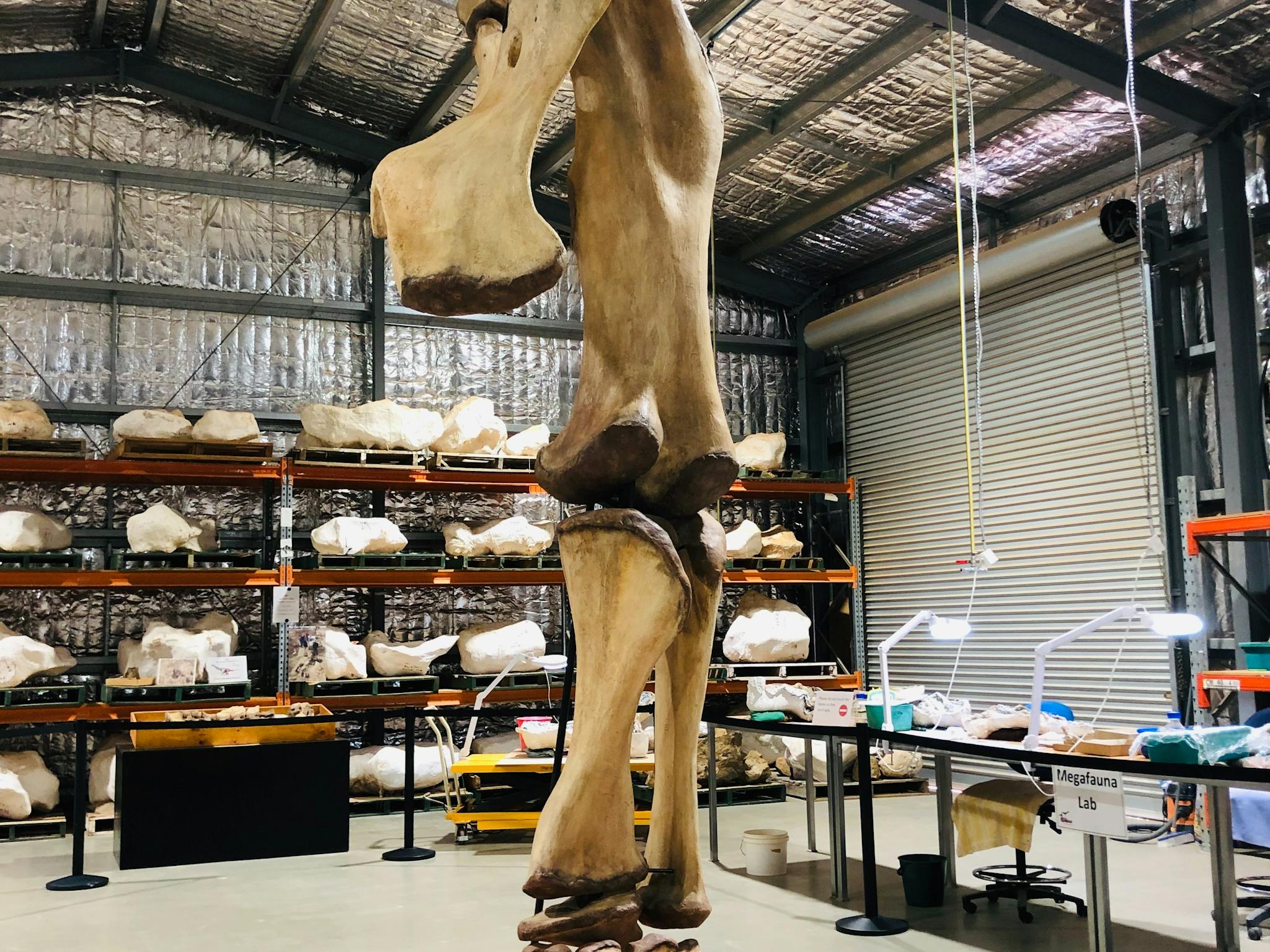 Eromanga Natural History Museum Eromanga Natural History Museum
